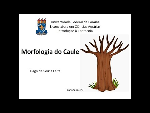 Botânica básica - Morfologia do caule (Organografia)