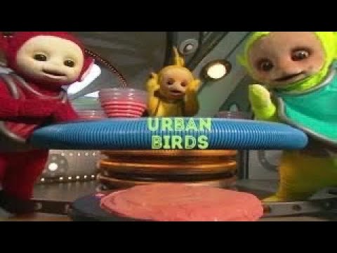 Teletubbies Urban Birds (Custom Version S2)