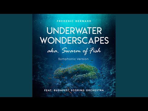 Underwater Wonderscapes Aka. Swarm of Fish (feat. Budapest Scoring Orchestra) (Symphonic Version)