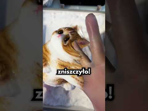 Najbardziej Lepka Zabawka Dla Kotów!🙀🙀