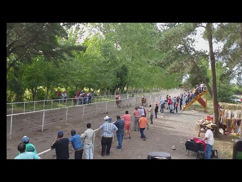 Platanito vs la atila