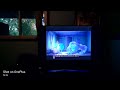 MONSTERS INC TRAILER 2001 VHS