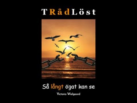 Första föreläsning utifrån "Trådlöst - så långt ögat kan se"!!!