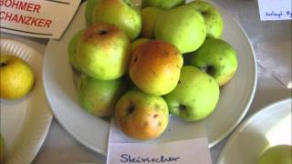 Streuobst Austellung Schloss Tabor Sept 2011