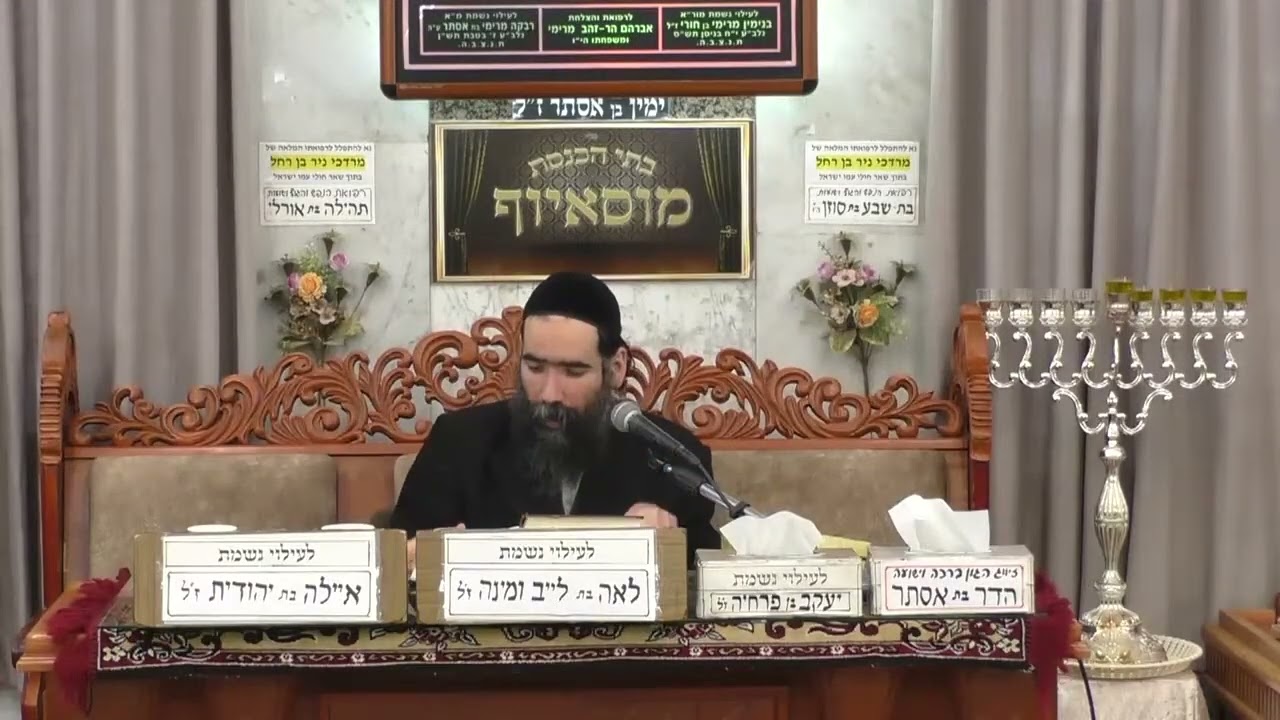 הרב ישראל שרת | פרשת מקץ | בית הכנסת מוסאיוף