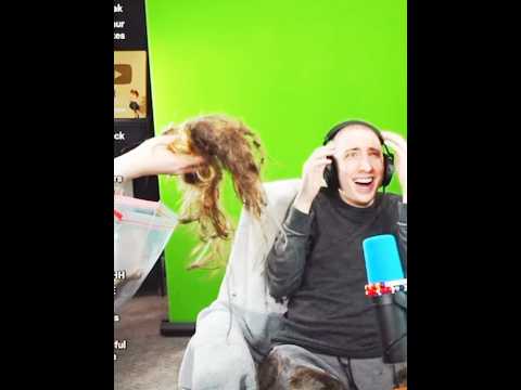 Kreekcraft shaved his hair! 🤫🙉 #kreekcraft #baldcraft #roblox #shorts