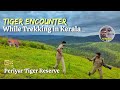 Encounter With Tiger While Trekking In Kerala Forest Gavi Safari English In Periyar Thekkady