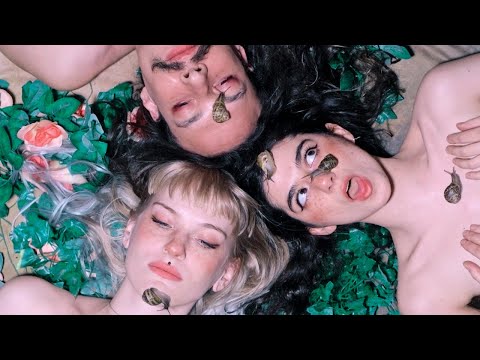 A VOID - Stepping On Snails (Official Video)