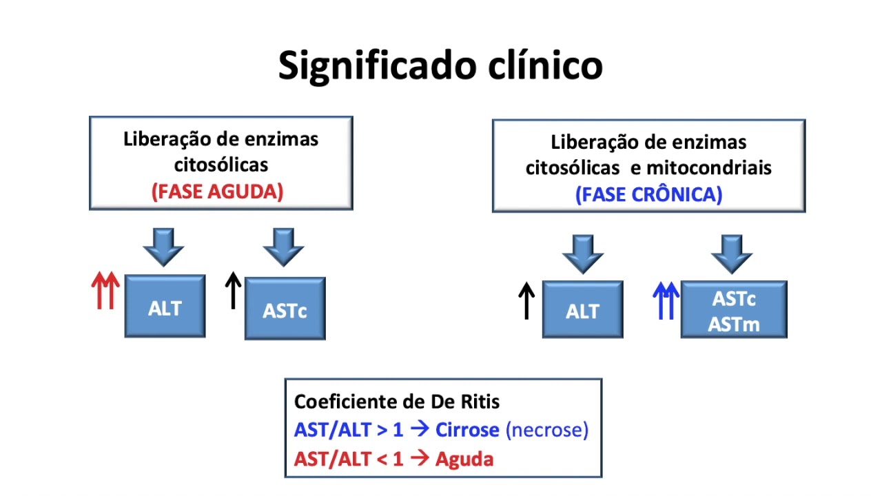 S09_V01 - Enzimas de interesse clínico (AST, ALT, GGT e FAL)