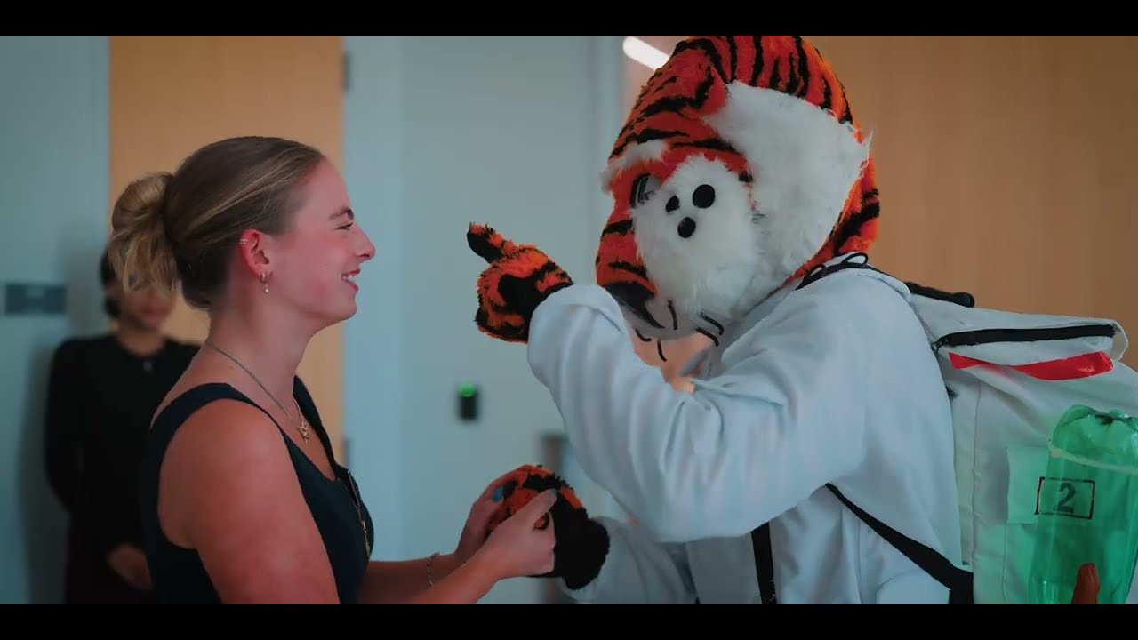 Video 1 preview image