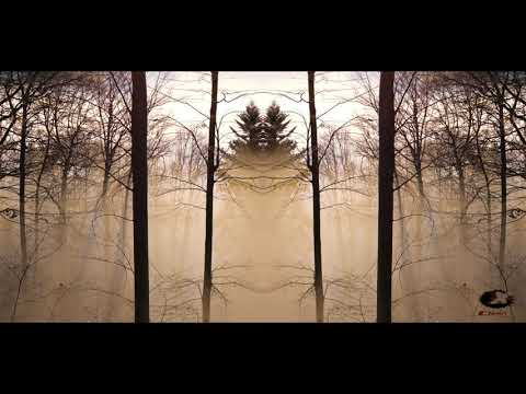 ClinicX - S-Factor ft. Seraina - Play