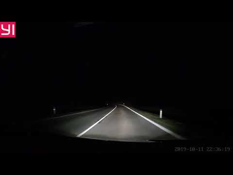 🐽 Svinky za obcou Svinia, neďaleko potoka svinka. 🐗