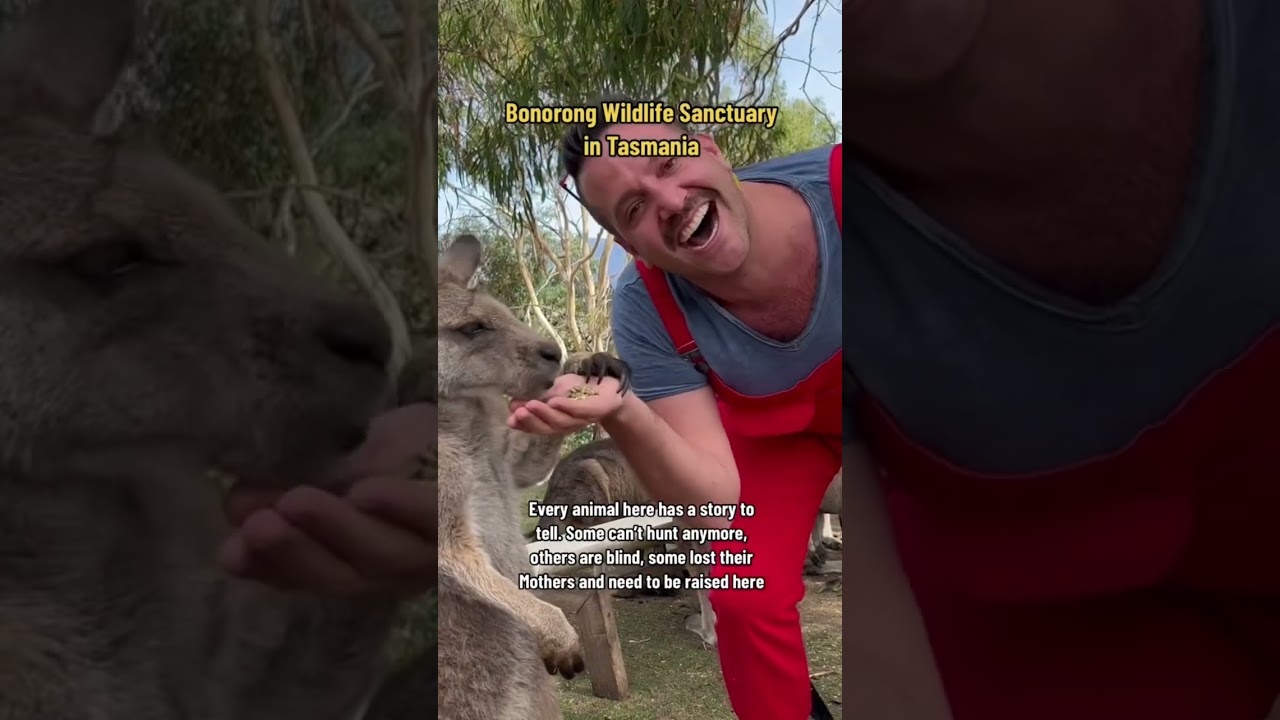 YouTube Short thumbnail