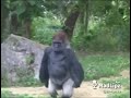 BABA JEN