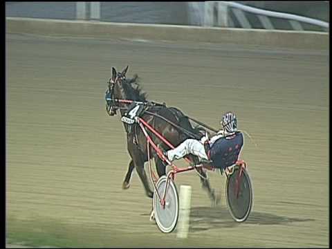 Trotto 17/03/2017 - 6ª corsa