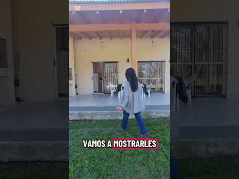 Se vende impecable complejo de cabañas en Villa de las Rosas TRASLASIERRA Córdoba, pedime info !