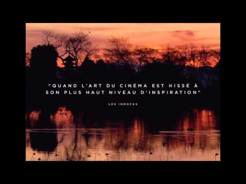 THE ASSASSIN - Bande Annonce VOST