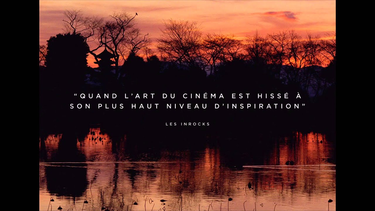 THE ASSASSIN - Bande Annonce VOST