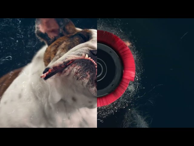 Video Teaser für GERMAN | X Force Flex 14 80 Aqua