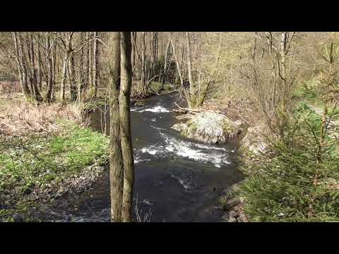 Eifelsteig - Stage 3: Monschau - Einruhr - 24,3 km