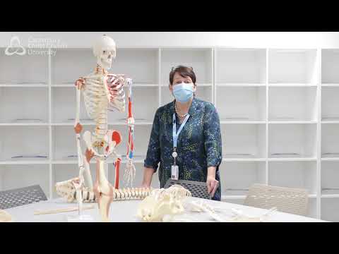 Tour the new Health and Medical facilities at Canterbury Christ Church University