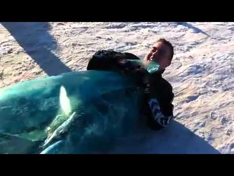 Backward sausage roll