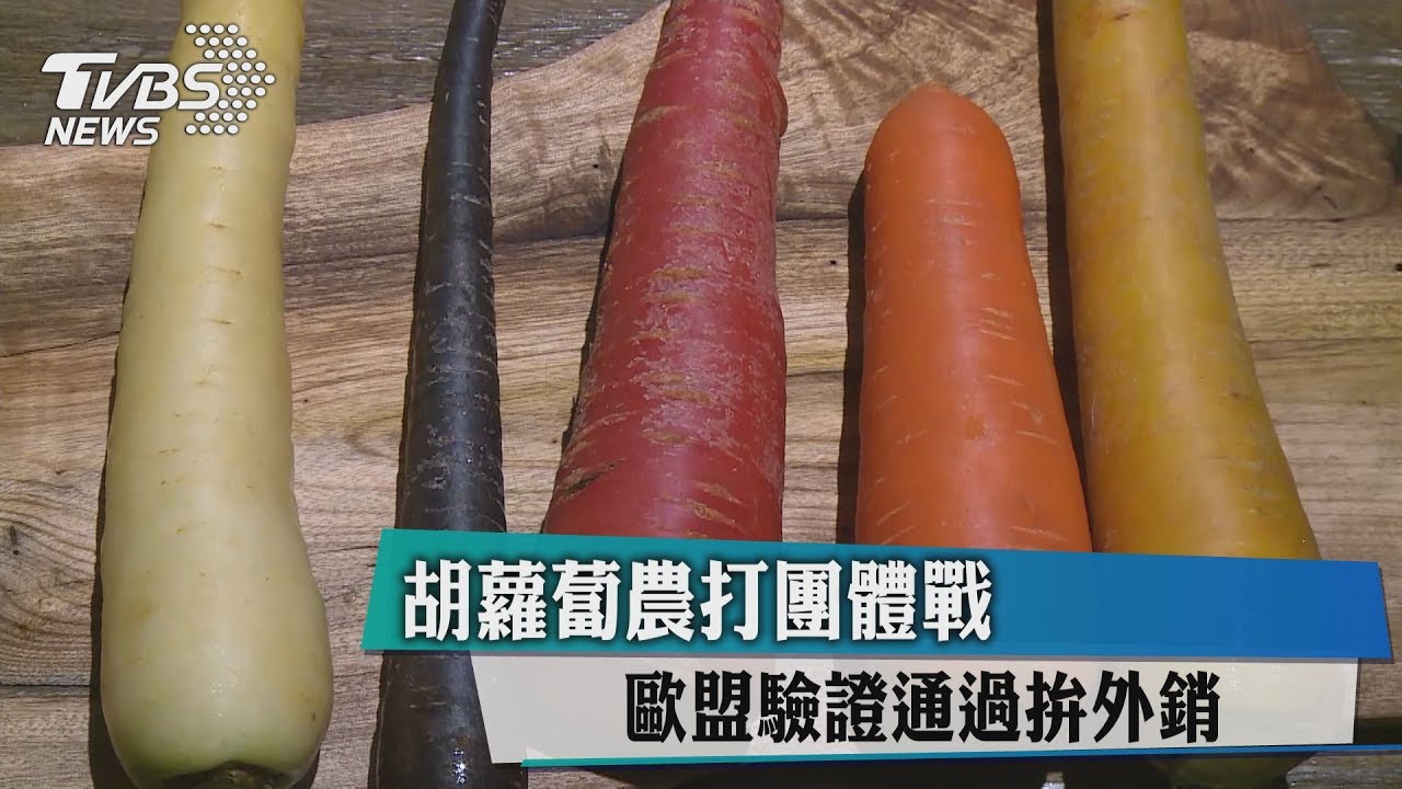 胡蘿蔔農打團體戰 歐盟驗證通過拚外銷
