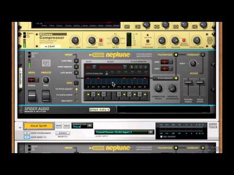 Reason 6 The Effects of Reason - Neptune 2