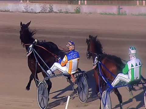 Trotto 07/12/2018 - 2ª corsa