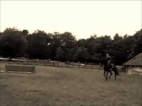 MICA MOSTRA DE ANTRENAMENT : Bogdan Maties la Pensiunea Ferma Brandusa, Avrig, Sibiu