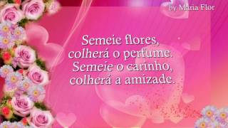 Uma linda mensagem de Boa tarde - mensagem para watsApp