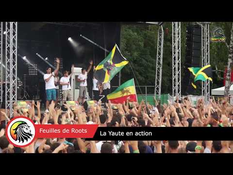Feuilles de Roots   La Yaute en action Nomade Reggae Festival 2017