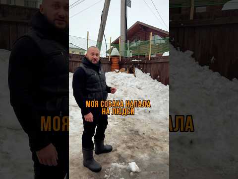 Моя собака СБЕЖАЛА через забор