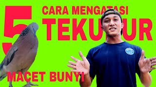 Download lagu CARA MENGATASI TEKUKUR MACET BUNYI mp3 Download lagu CARA MENGATASI TEKUKUR MACET BUNYI mp3