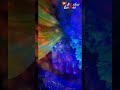 Ranjan Gavala Gavala Mahaganpati Nandla Whatsapp Status