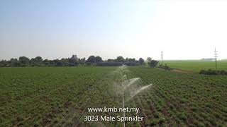 3023 Male Sprinkler