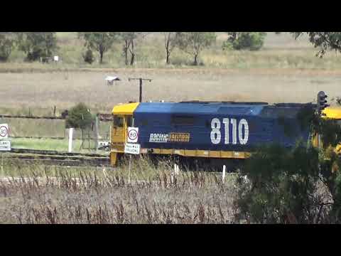 8110+DL50+8138=Werris Creek