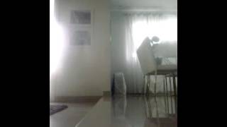Pardo Scandallo CRB