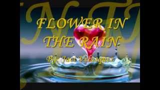 FLOWER IN  THE RAIN W/ LYRICS