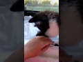 I Ll Bite Your Fingers Human
