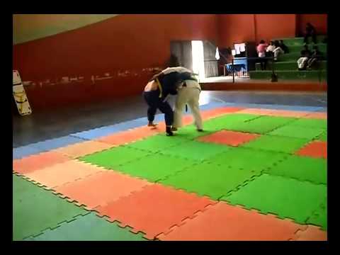 Festival Guapiara - Diego X Faixa Verde