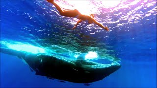 Nora en Pure - Diving With Whales (Daniel Portman Remix)