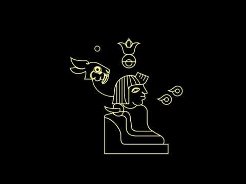 video image