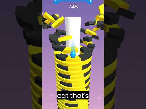 Animal Riddles #shorts  2.23