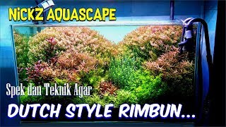 Spek dan Perawatan Tank Display di Nickz Aquascape