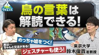 【25万部超え著者】動物にも言葉が？世界初！鳥の言葉を大解明SP 東京大学 先端科学技術研究センター 鈴木俊貴准教授【いまからサイエンス】