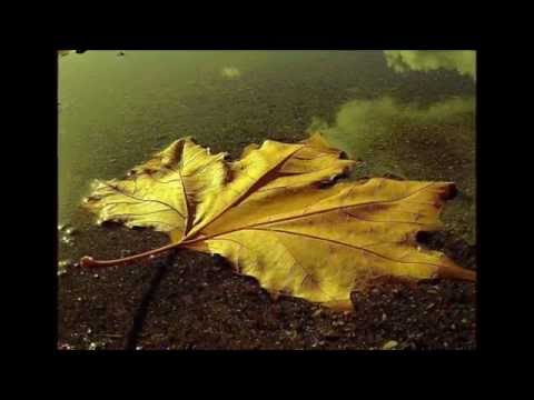 Mithat Körler  ( Sonbaharda Sevmiştim)