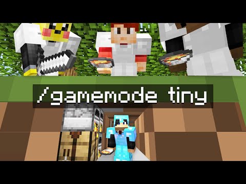 Minecraft Manhunt but i secretly used TINY mode..