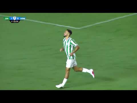 bg-highlight