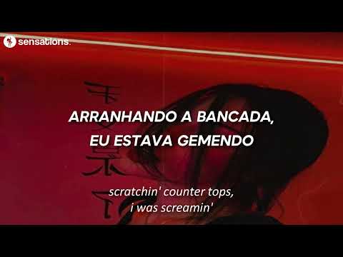 stargirl interlude [tradução]